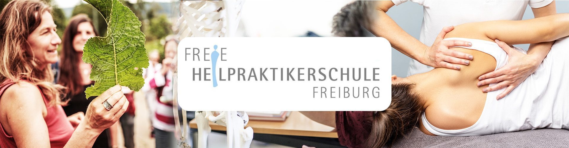 (c) Freie-heilpraktikerschule.de